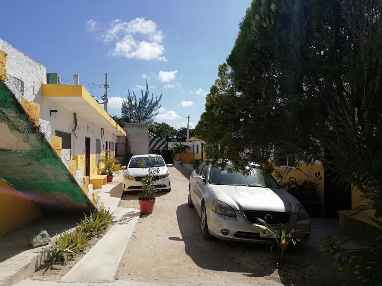Hotel Sofia Celestun Εξωτερικό φωτογραφία